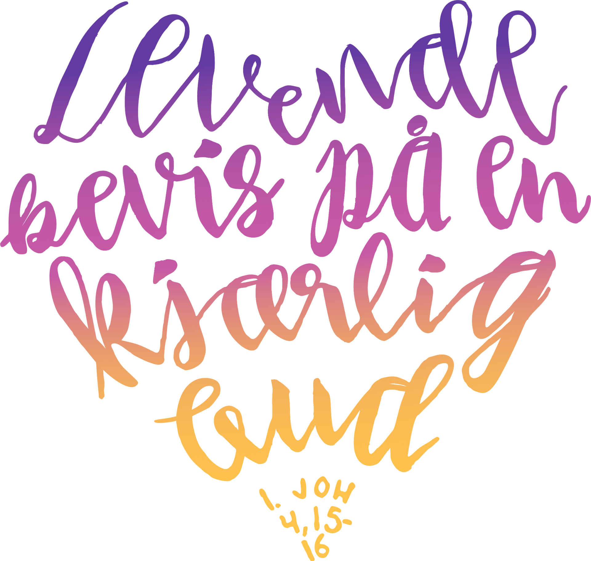 Lilla-rosa-gul